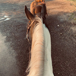 Meet your Posher, Mackenzie